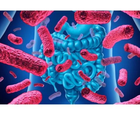 The microbiome